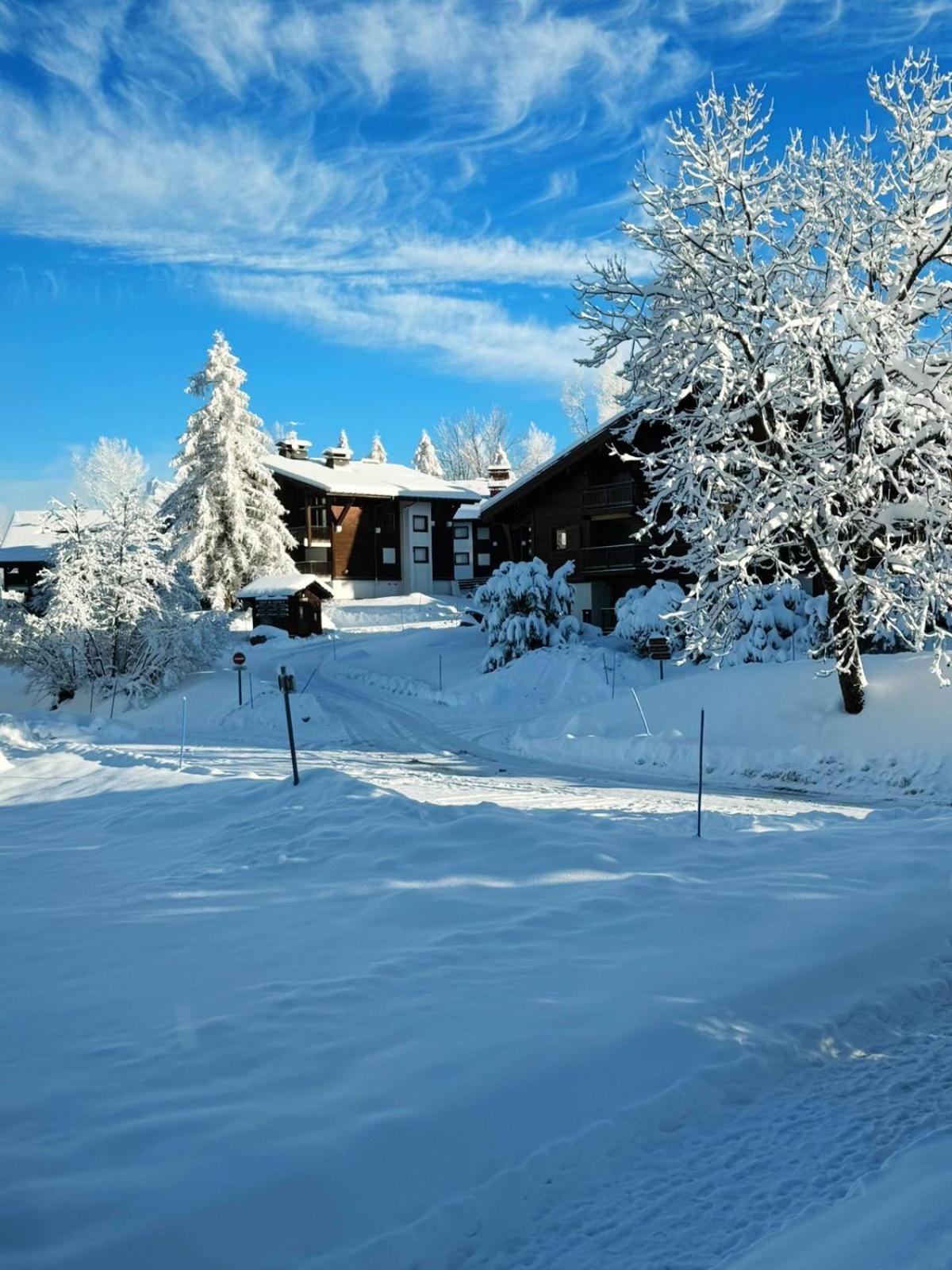 Le Flocon Du Mont Darbois Classe 3 Etoiles Megève Buitenkant foto